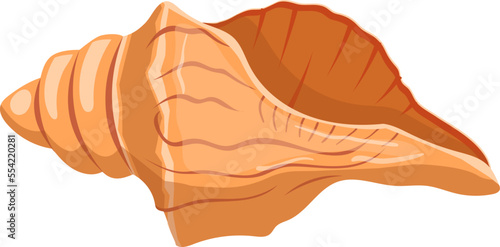shell sea cartoon vector. marine seashell, beach snail, ocean conch, clam, water scalop shell sea. isolated color illustration