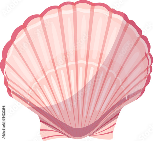 shell sea cartoon vector. marine seashell, beach snail, ocean conch, clam animal, water scalop shell. isolated color illustration