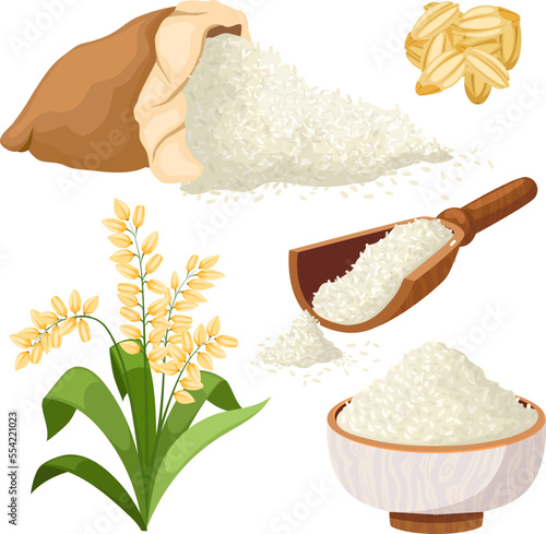 rice grain set cartoon. food bowl, raw, plant, baasmati agriculture, broun asian long farm seed rice grain vector illustration
