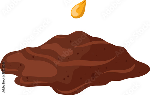 seed cartoon vector plant vegetable, farm garden, nature bean vector illustration