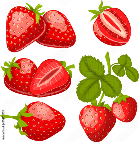 strawberry fruit set cartoon vector. fresh red berry, sweet leaf, juice summer food strawberry fruit vector illustration