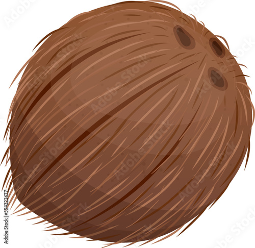 brown coconut fruit cartoon. coco nut tropical, milk palm, half open leaf, fresh cut summer food brown coconut fruit vector illustration