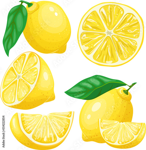 lemon yellow fruit set cartoon. fresh citrus, leaf food, slice cut, green leaves, lemonade lemon yellow fruit vector illustration