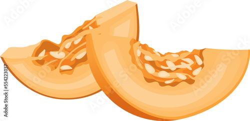 pumpkin slice cartoon. cut white food piece, fresh autumn, top squash raw orange pumpkin slice vector illustration