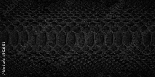 black snake skin background...