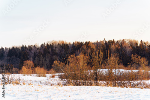 Landscape of a winter forest at sunset in Kernave, Lithuania