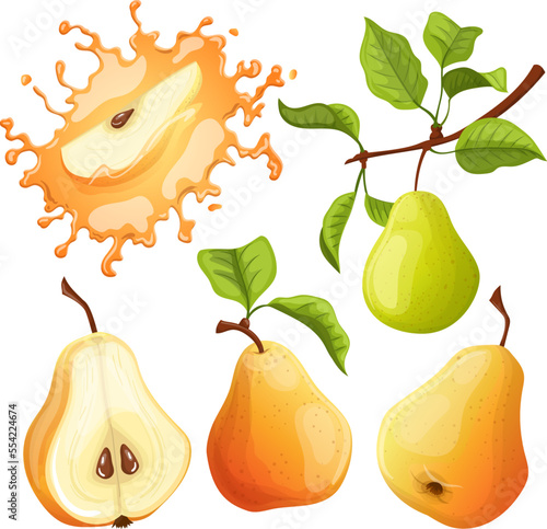fruit pear set cartoon. leaf food, green ripe, organic tree, fresh agriculture, healthy summer half fruit pear vector illustration