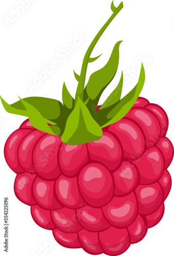 raspberry food cartoon. fruit berry, red leaf, fresh green, ripe sweet, plant dessert healthy raspberry food vector illustration
