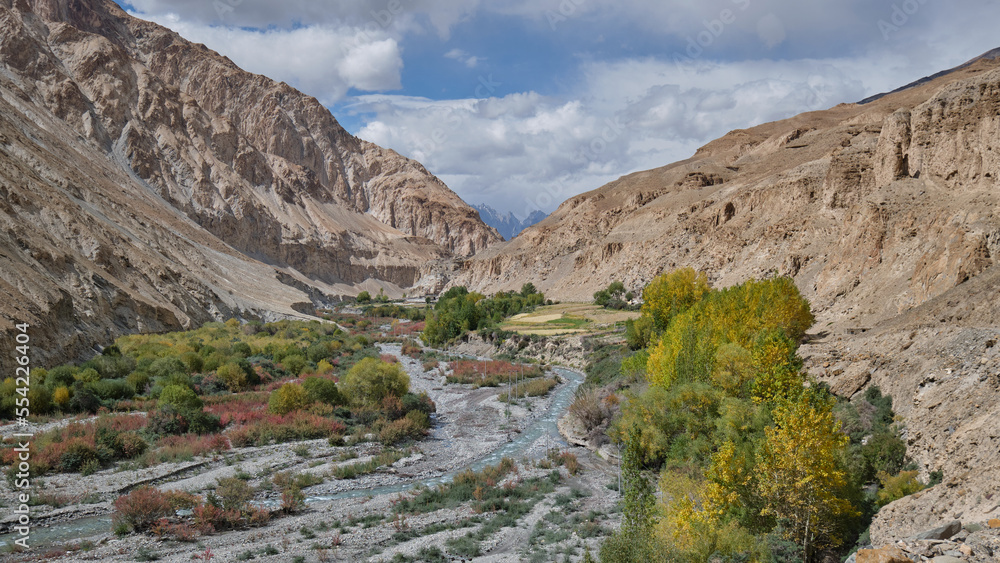 Forest along riverbank in Markha valley, Ladakh