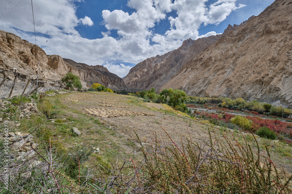 A farmland in Markha valley, Ladakh