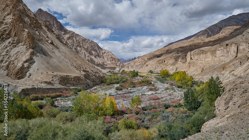 Forest along riverbank in Markha valley, Ladakh © KSWan