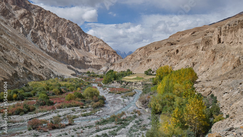 Forest along riverbank in Markha valley, Ladakh