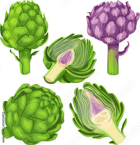 artichoke food set cartoon. fresh raw, green healthy organic vegetable, plant ingredient, nutrition vegetarian flower, natural artichoke food vector illustration