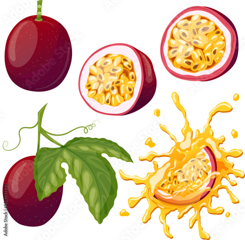 passion fruit set cartoon. cut fresh, half food slice, tropical exotic, ripe whole, passionfruit maracuya, juicy, juice passion fruit vector illustration