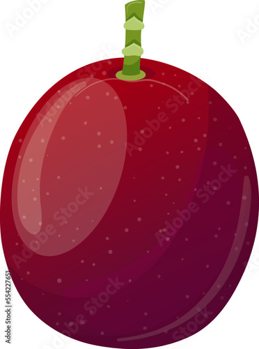 passion fruit fresh cartoon. exotic food, tropical maracuya, ripe closeup, whole sweet, juice passiflora, juicy passion fruit fresh vector illustration