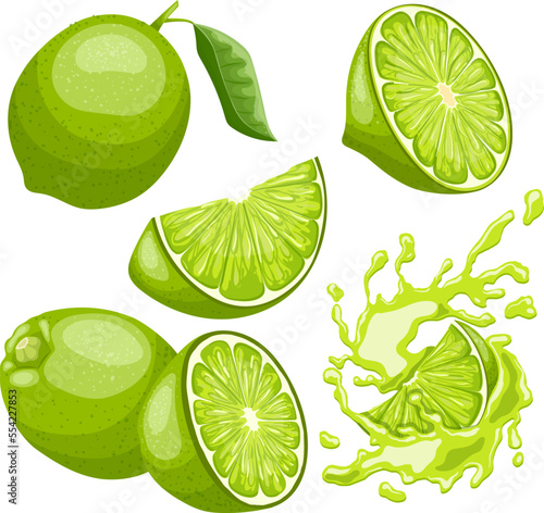 lime green fruit set cartoon. slice citrus, fresh cut, half food, juicy juice, sour piece, wedge leaf, tropical lime green fruit vector illustration