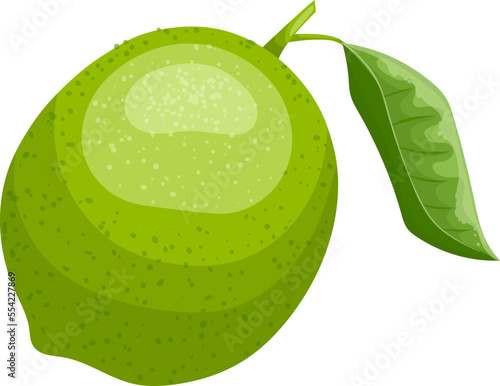 lime fruit cartoon. green citrus, fresh leaf, cut food, juicy sour, piece tropical, organi, vitamin lime fruit vector illustration