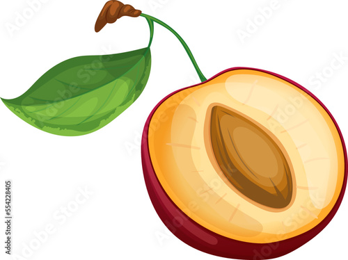cut plum cartoon. fruit leaf, blue food, slice ripe, half juicy, healthy, sweet cut plum vector illustration