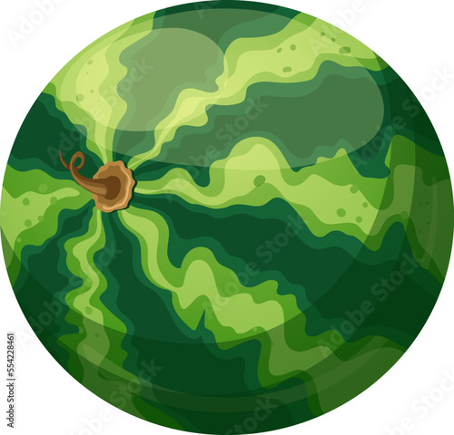 watermelon green cartoon. melon slice, fruit water, cut summer, fresh half, food piece watermelon green vector illustration
