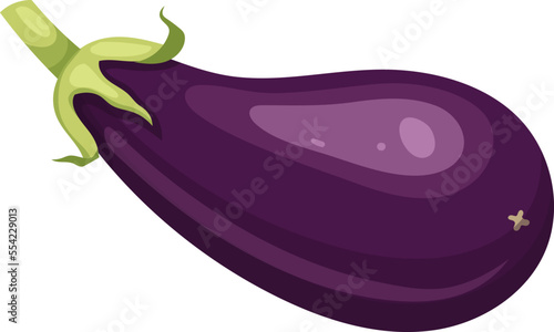 eggplant vegetable cartoon. purple fresh, plant food, organic healthy, agriculture fruit, brinjal garden, raw closeup, violet harvest eggplant vegetable vector illustration
