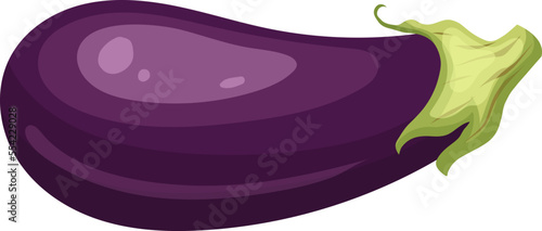 eggplant vegetable cartoon. purple fresh, plant food, organic healthy, agriculture fruit, garden, raw closeup, violet harvest eggplant vegetable vector illustration