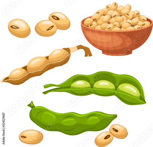 soya food bean set cartoon. soy soybean, healthy seed, natural organic, vegetarian grain, nutrition health protein, raw soya food bean vector illustration