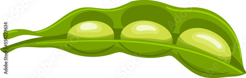 green soya cartoon. soy vegetable, bean pod, healthy food, fresh vegetarian, edamame soybean, protein green soya vector illustration