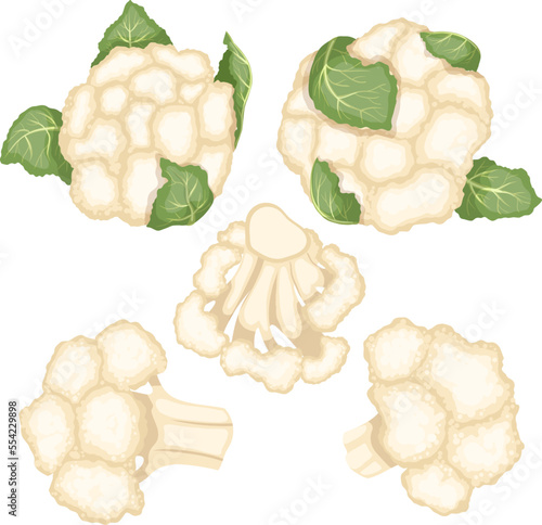 cauliflower white food set cartoon. fresh vegetable, cabbage vegetarian, organic healthy, raw green, diet ingredient, plant nature cauliflower white food vector illustration