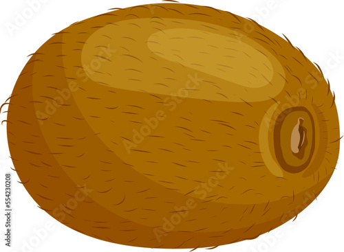 kiwi fruit cartoon. brown food, fresh juicy, ripe sweet, kiwifruit healthy, exotic diet, organic, nutrition tropical kiwi fruit vector illustration