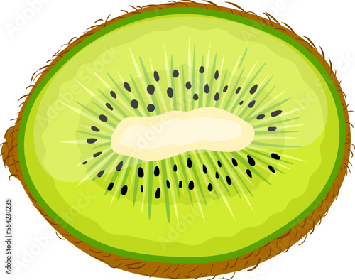 kiwi green cut cartoon. fruit food, fresh half, healthy slice, juicy sweet, diet organic, ripe tropical, group vitamin kiwi green cut vector illustration