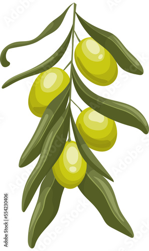 olive green cartoon. oil leaf, branch fruit, leaves food, greek fresh, plant olive, berry greece raw, big olive green vector illustration