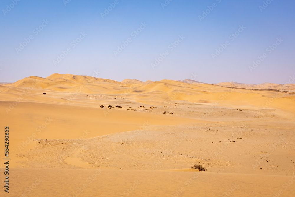 Namibia Desert. Sand Dunes near  Swakopmund. Skeleton Coast. Namibia. Africa.