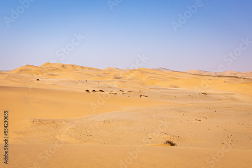 Namibia Desert. Sand Dunes near Swakopmund. Skeleton Coast. Namibia. Africa.