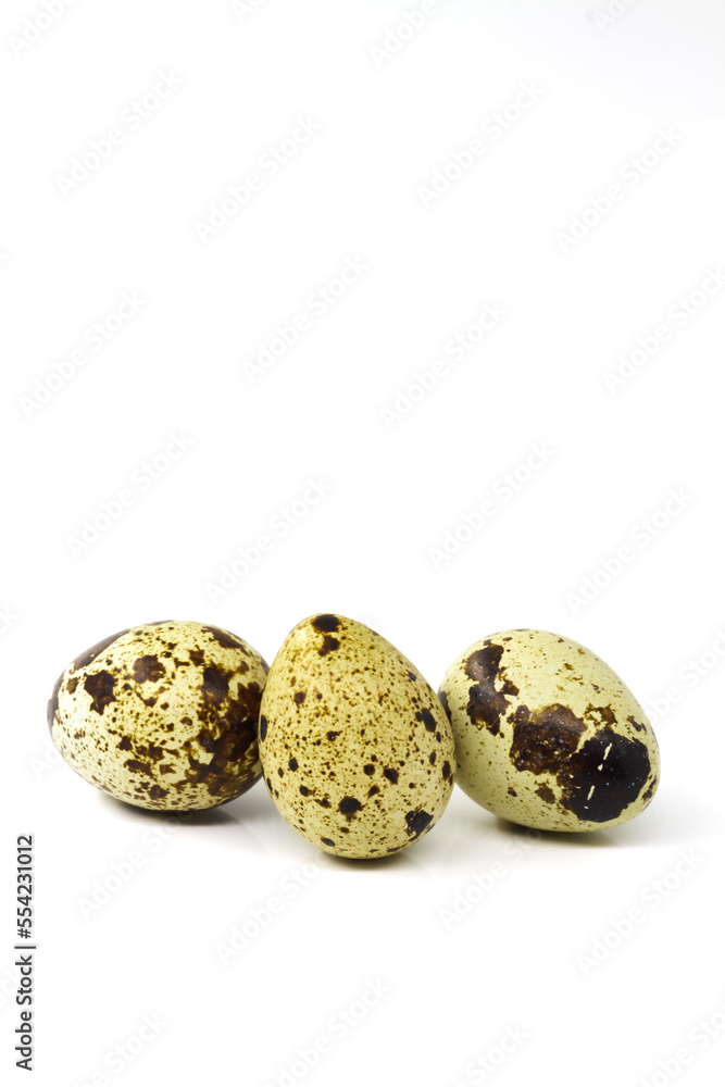 Obraz premium Quail eggs in a group
