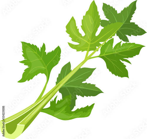 celery fresh cartoon. green food, bunch vegetable, diet organic, natural raw, leaf healthy, freshness vegetarian, stalk nutrition celery fresh vector illustration