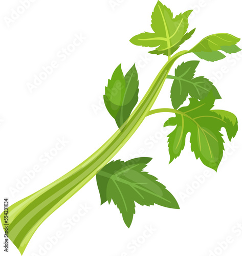 celery fresh cartoon. green food, bunch vegetable, diet organic, natural raw, leaf healthy, vegetarian, stalk nature, nutrition celery fresh vector illustration