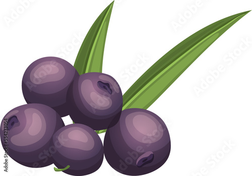 acai food fruit cartoon. berry organic, leaf tropical, brazilian fresh, nature agriculture energy, healthy acai food fruit vector illustration