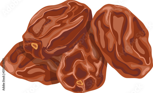 dates dried fruit cartoon. palm food, organic sweet, natural brown, healthy diet, snack dessert dates dried fruit vector illustration