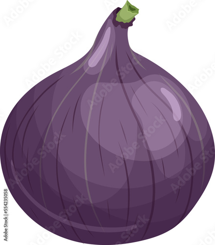 fig fruit cartoon. purple food, sweet fresh, healthy diet, vitamin ripe, juicy, summer fig fruit vector illustration