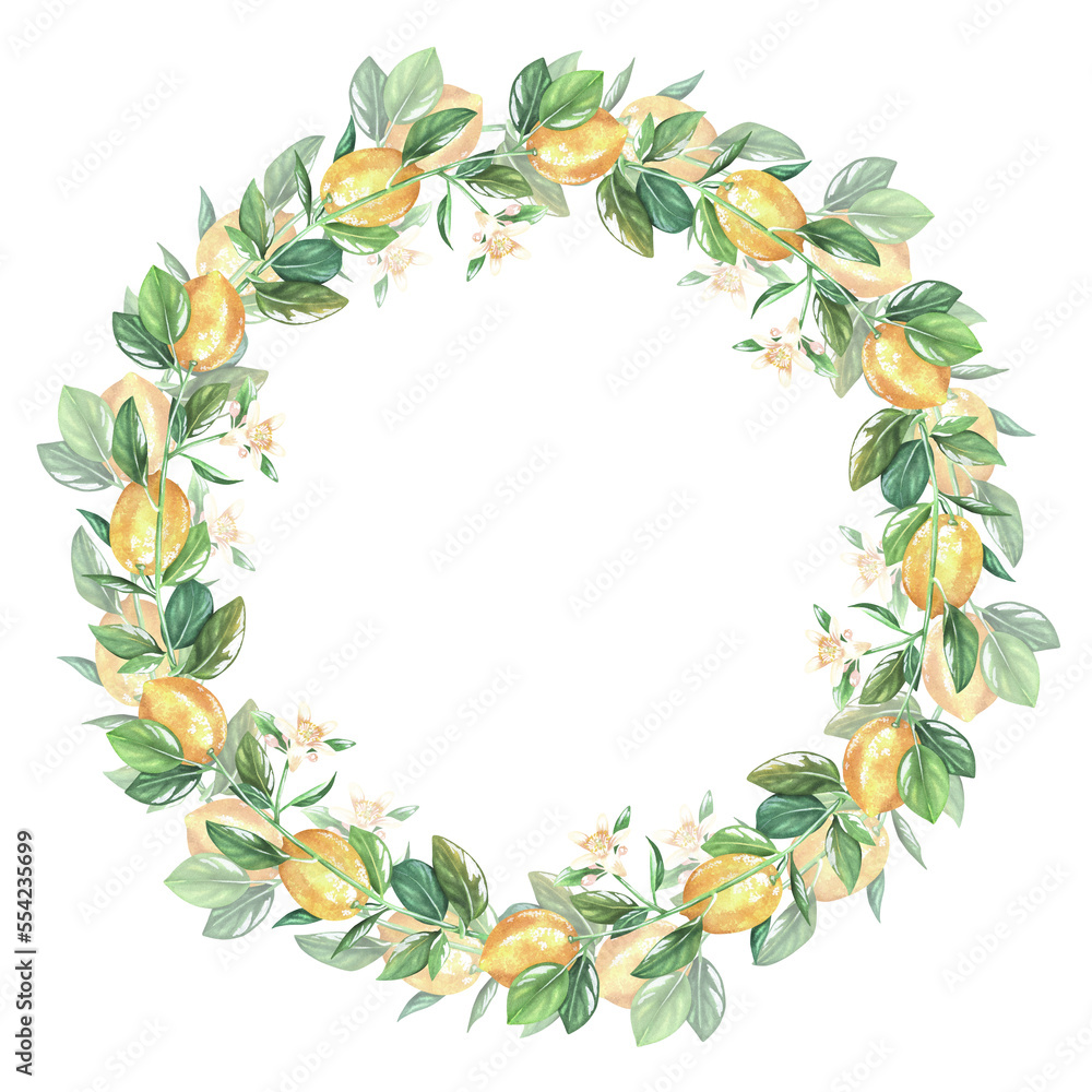 A wreath of lemon sprigs with flowers. Watercolor illustration. Isolated on a white background. For design dishes, stickers, nature prints, kitchen accessories, product packaging with citrus A wreath of lemon sprigs with flowers. Watercolor illustration. Isolated on a white background. For design dishes, stickers, nature prints, kitchen accessories, product packaging with citrus