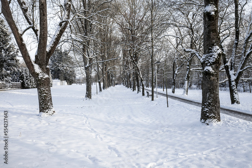 Snow Covered Foot Paths in Germany Baden Württemberg