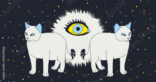 Fashion minimal illustration art. Cat in dark cosmic magic space. Creative trippy design