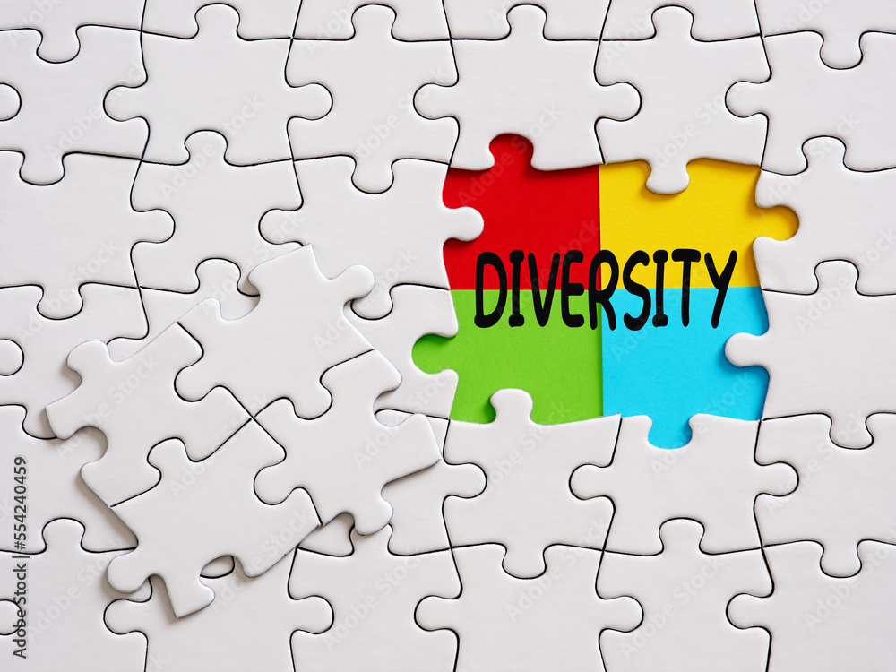 Fototapeta premium Diversity and inclusion in education or business concept. Puzzle pieces connected to each other with the word diversity.