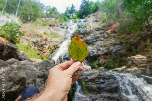 Wasserfall im Schwarzwald 