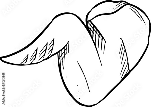 Sketch chicken wing