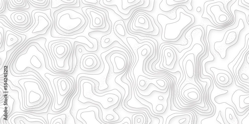 Abstract 3d wavy line paper cut white background.realistic papercut decoration textured with wavy layers.3d Topographic canyon geometric map relief texture with curved layers and shadow. Abstract 3d wavy line paper cut white background.realistic papercut decoration textured with wavy layers.3d Topographic canyon geometric map relief texture with curved layers and shadow.