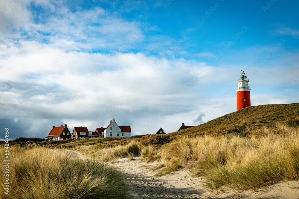 the lighthouse of the island texel in holland - obrazy, fototapety, plakaty 