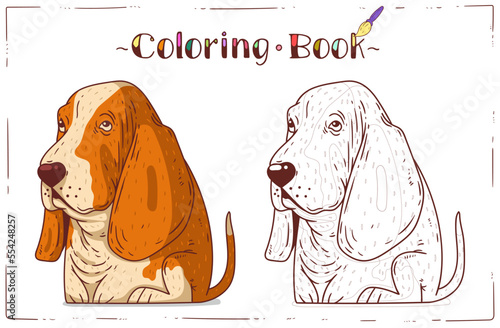 A Dog, Coloring Sheet. Cartoon outline picture of a Basset Hound with colored example. Horizontal colouring book page. Contour illustration for children's preschool education. Home activity for a kid.