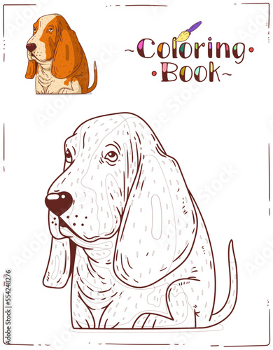 A Dog, Coloring Sheet. Cartoon outline picture of a Basset Hound with colored example. Vertical colouring book page. Contour illustration for children's preschool education. Home activity for a kid.