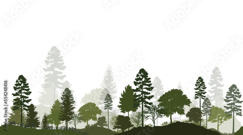 Forest silhouette trees. Vector illustration of every tree isolated. Evergreen forest side view green shadow, for seamless border, architecture and landscape design drawing. 